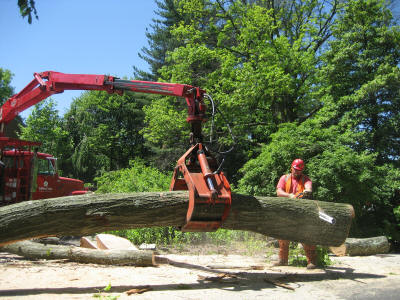 Crane with a piece of Big Red