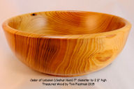 Cedar%20of%20Lebanon%207-5-2015