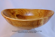 Hackberry%207-5-2015