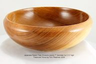 Japanese%20Raisin%20Tree%206-13-2010