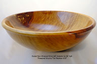 Korean%20Pear%2008-01-2017