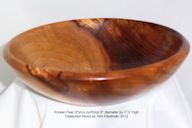 Korean%20Pear%2010-9-2012