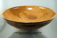 Norway%20Maple%205-23-2010