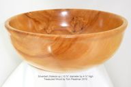 Silverbell%2010-9-2012