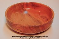 Sycamore%2010-25-2003